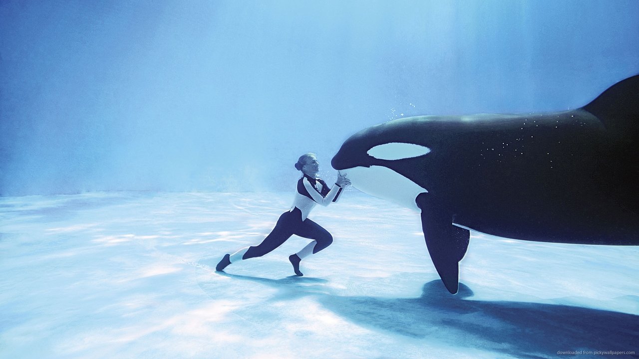 Blackfish (2013) movie backdrop