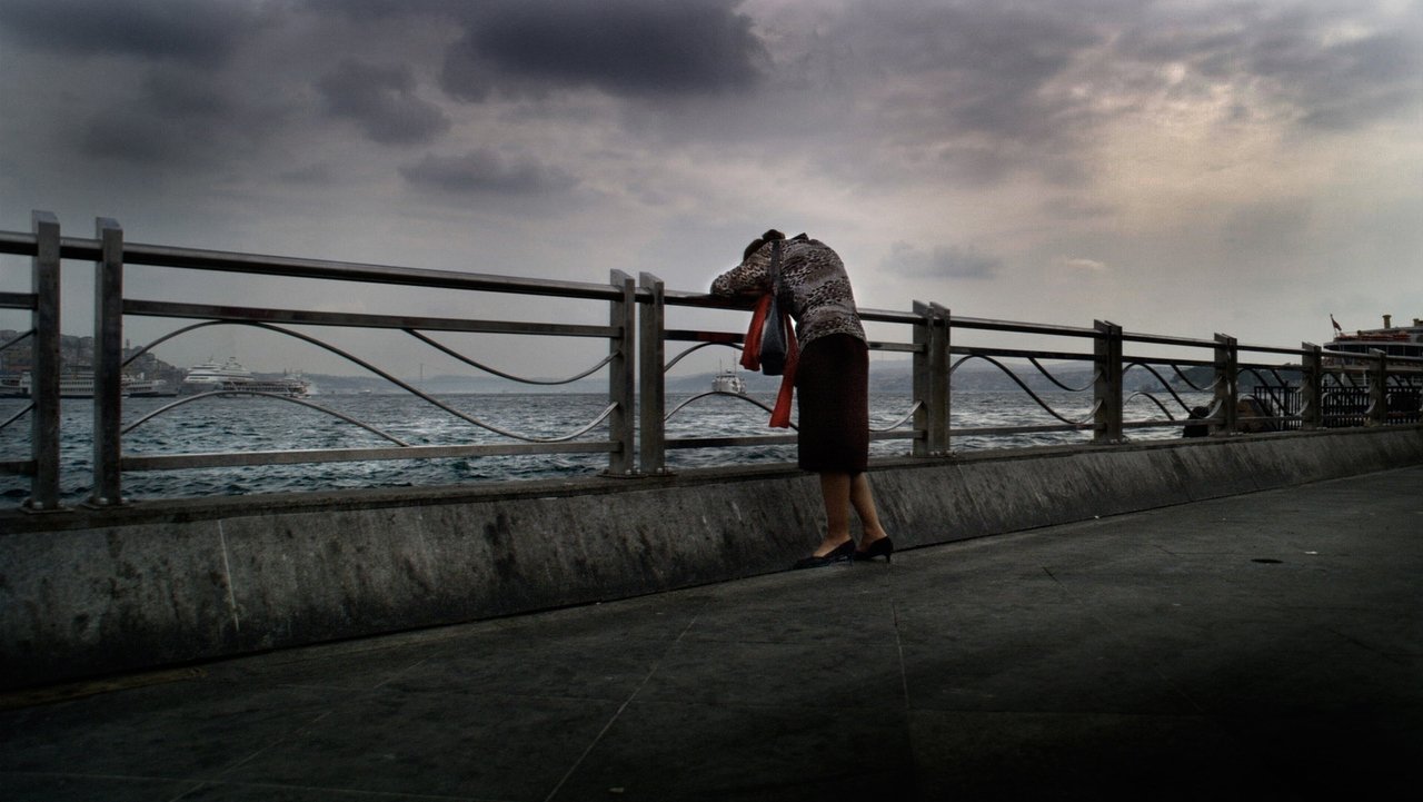 Three Monkeys (2008) movie backdrop