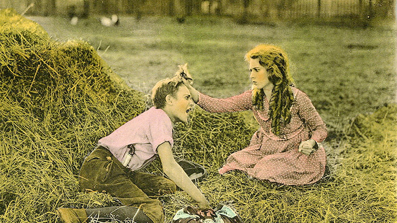 Pollyanna (1920) movie backdrop