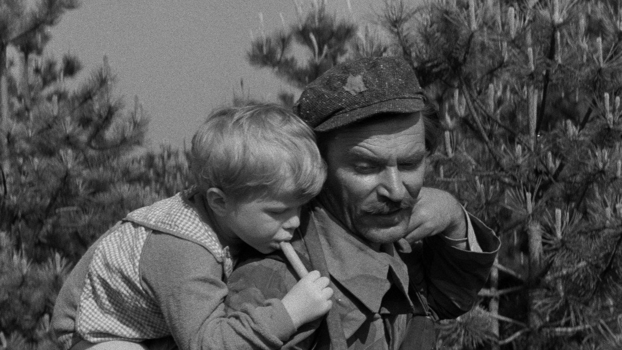 Don t Cry Peter (1964) movie backdrop