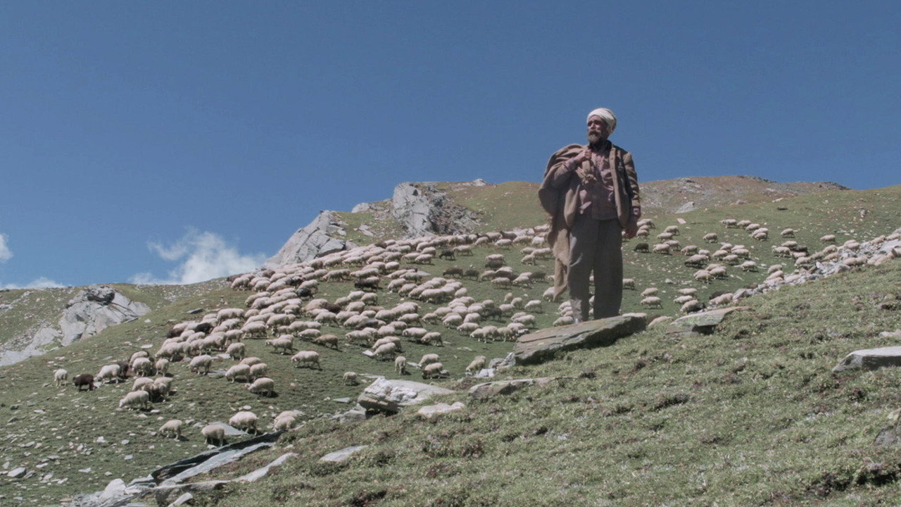 The Gold-Laden Sheep and The Sacred Mountain (2018) movie backdrop