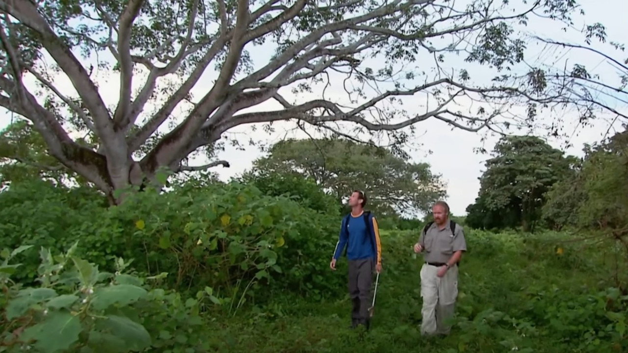 The Real Lost World (2006) movie backdrop