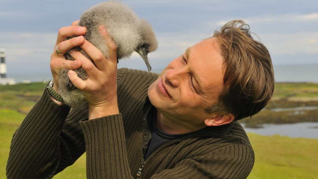 The Animal's Guide to Britain (2011) TV show backdrop