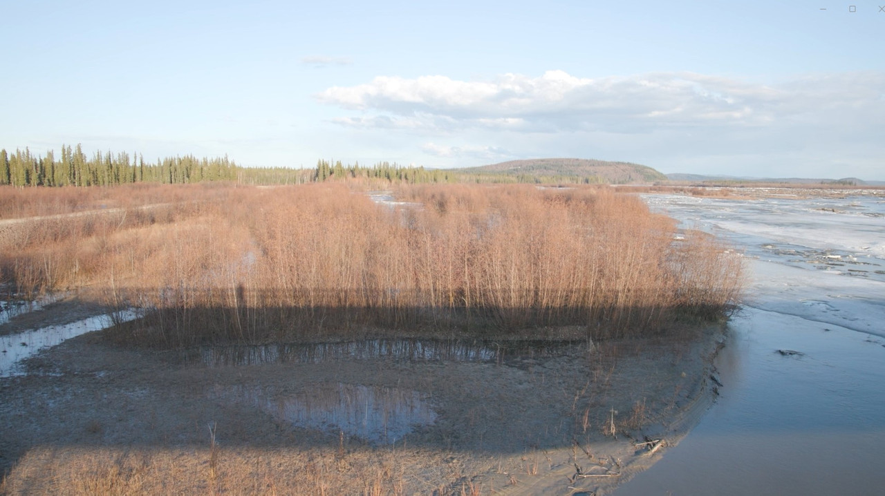The Story of a Slough (2024) movie backdrop