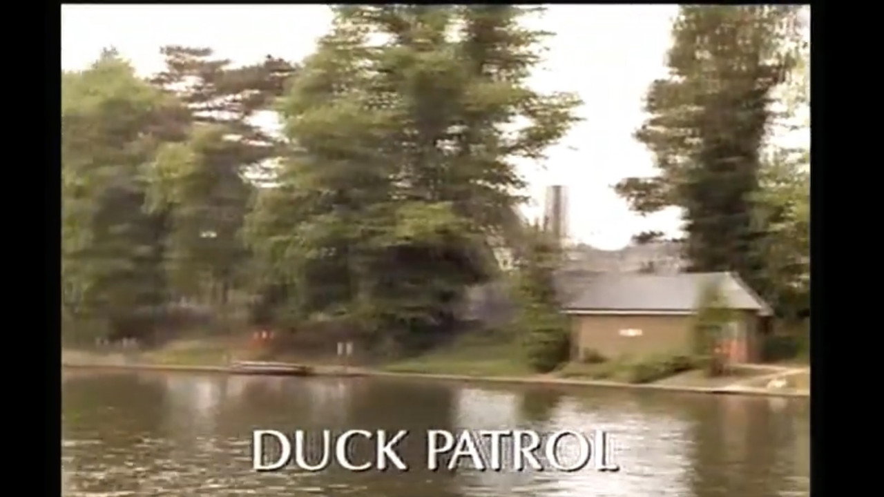 Duck Patrol (1998) TV show backdrop