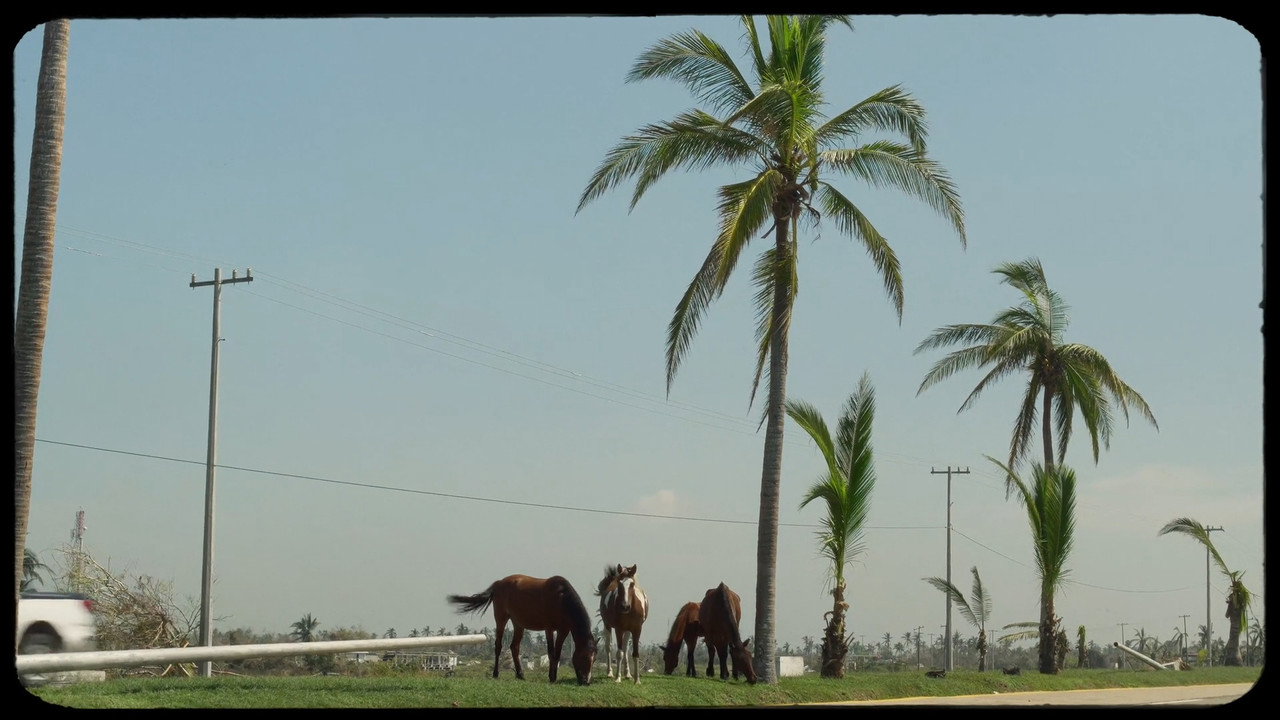 Carrizos (2025) movie backdrop