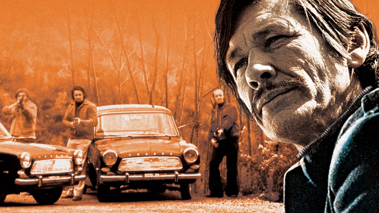 The Mechanic (1972) movie backdrop
