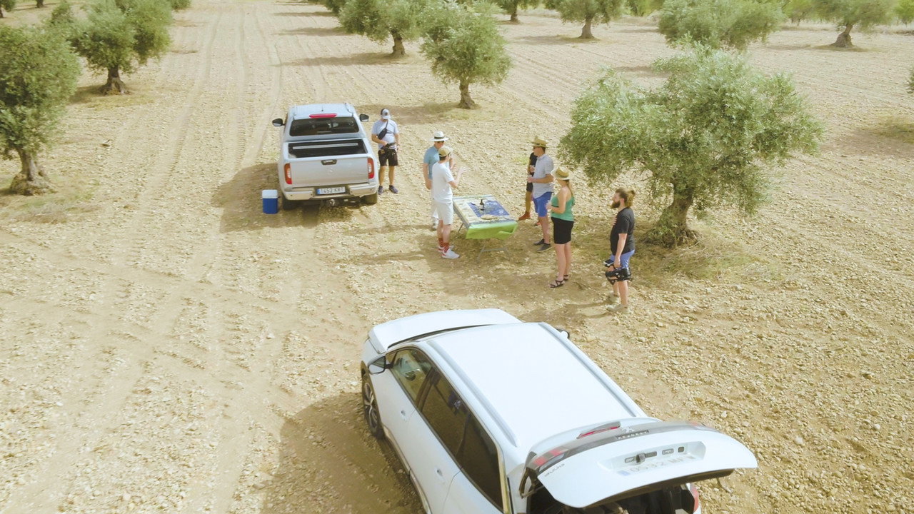 Blood of the Ancient Vine (2024) movie backdrop