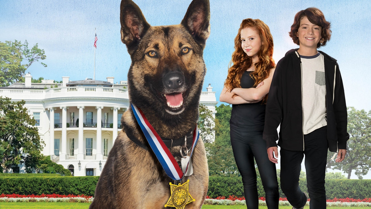 Max 2 White House Hero (2017) movie backdrop
