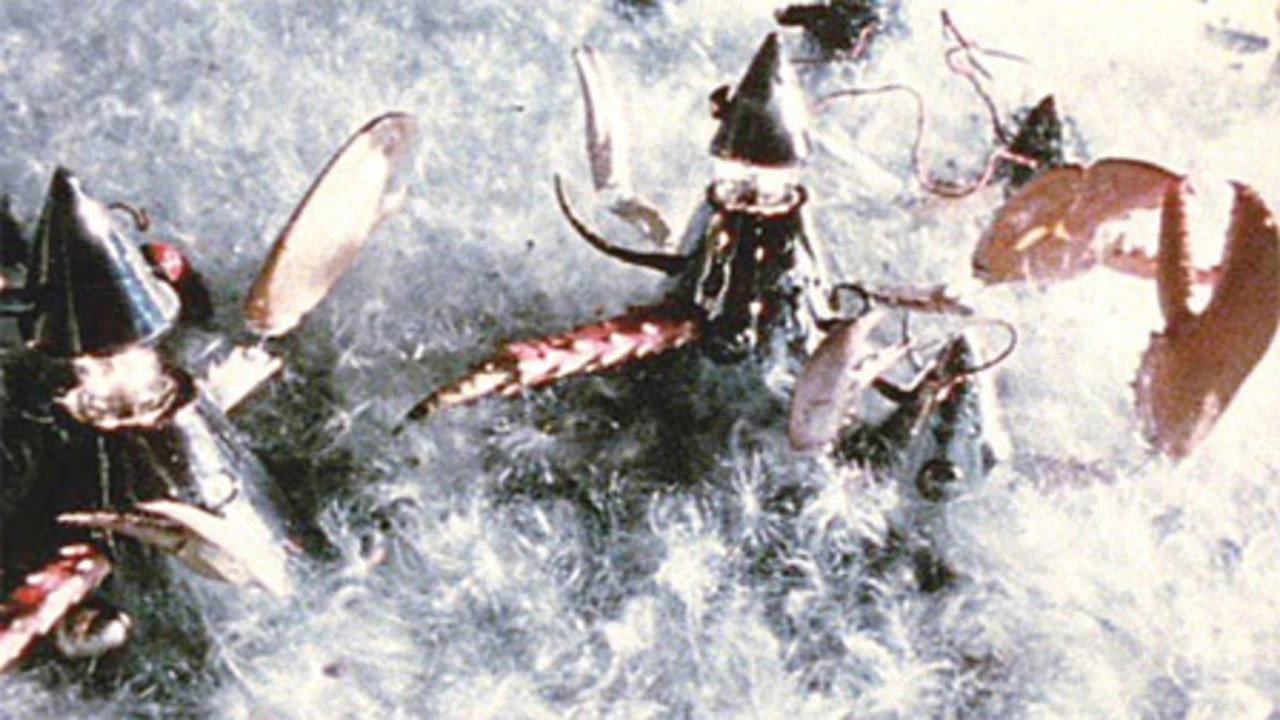 Babobilicons (1982) movie backdrop