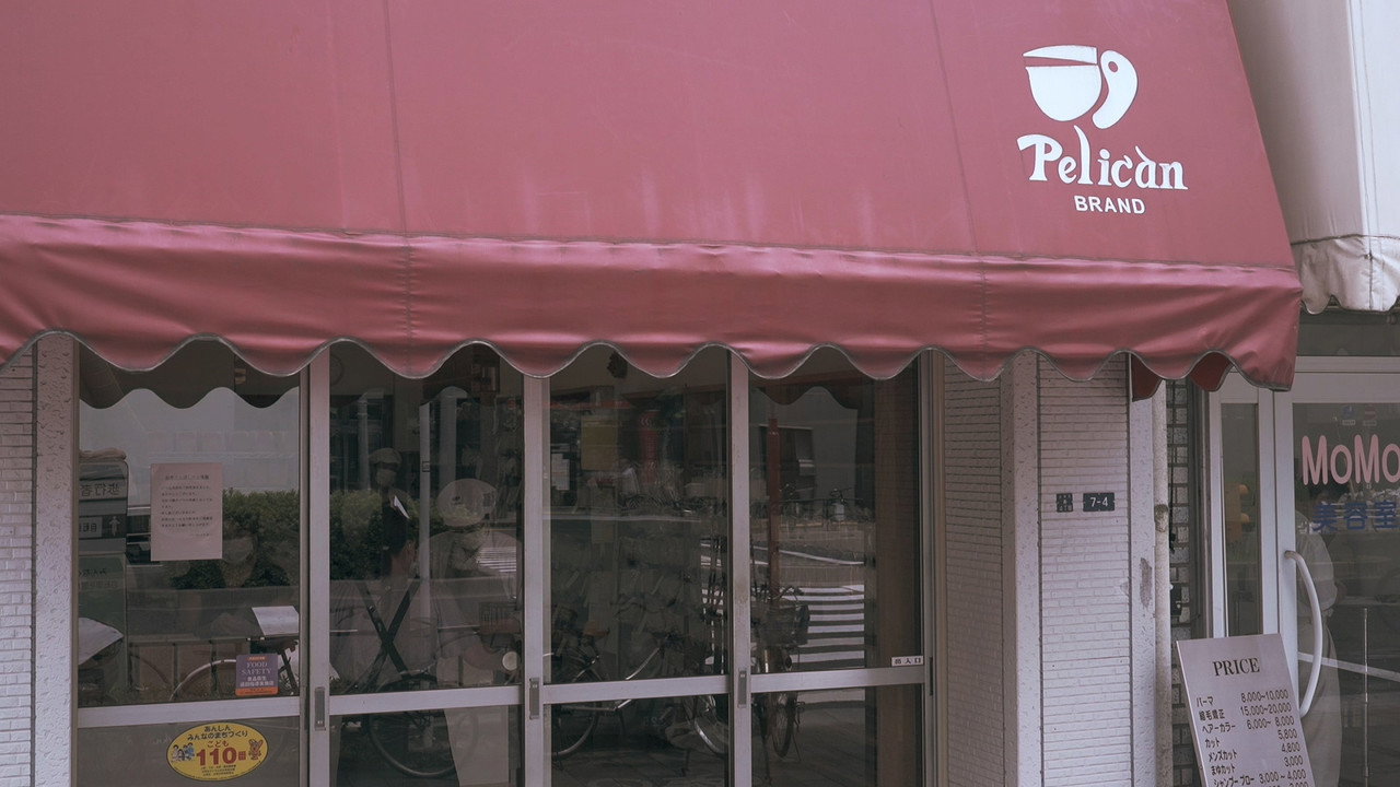 Pelican: 74 Years of Japanese Tradition (2019) movie backdrop