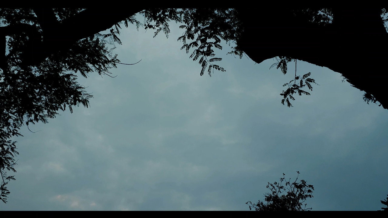 Além do Tempo (2024) movie backdrop