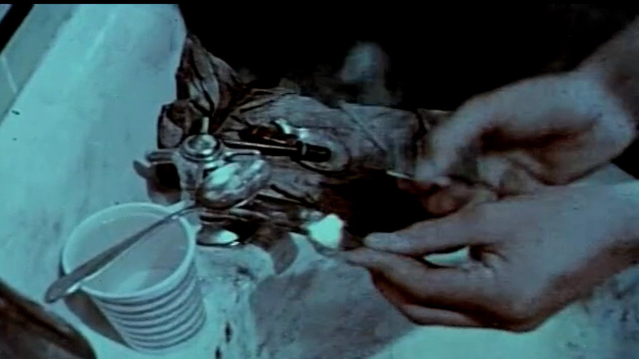 Narcotics, Why Not? (1966) movie backdrop