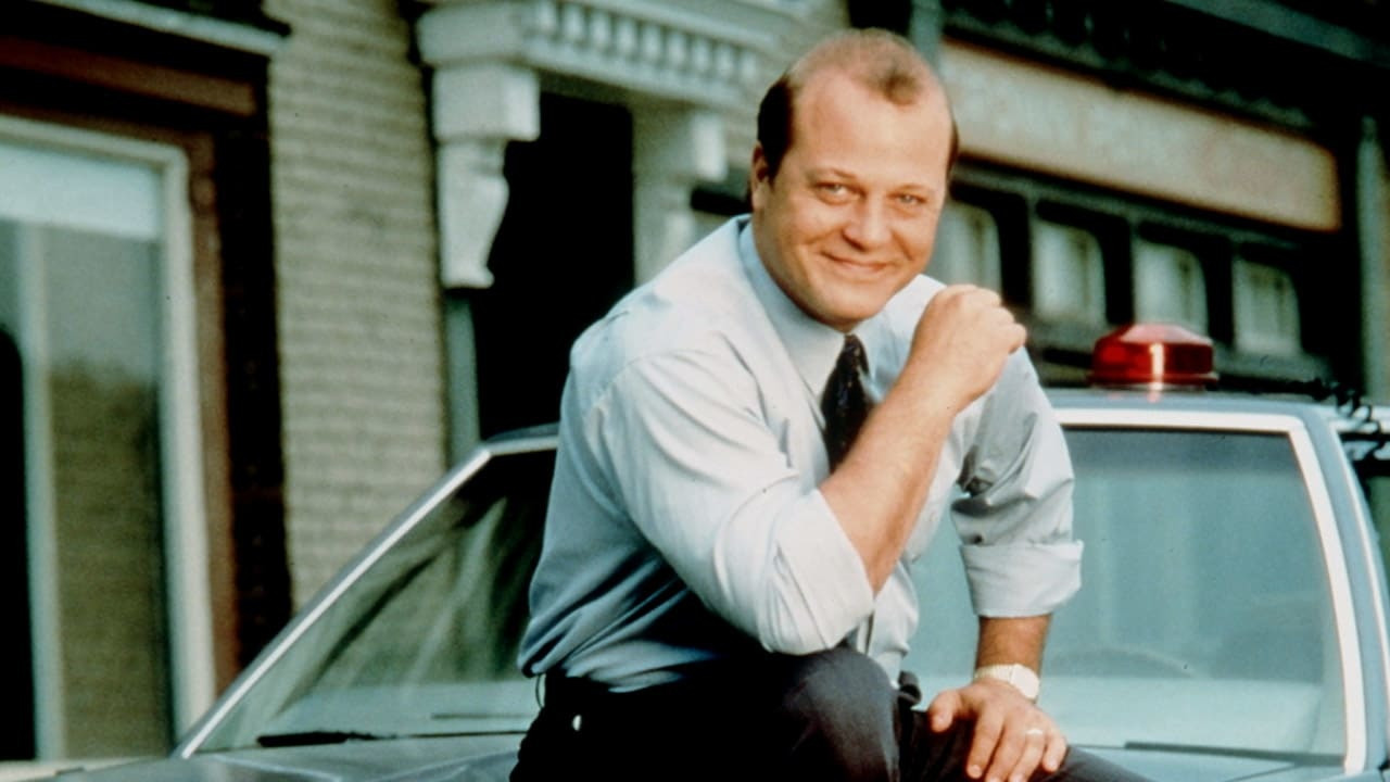 The Commish (1991) TV show backdrop