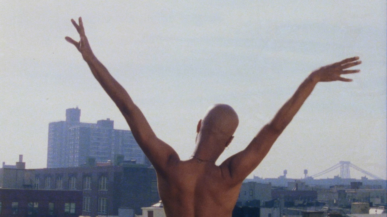 Chocolate Babies (1996) movie backdrop