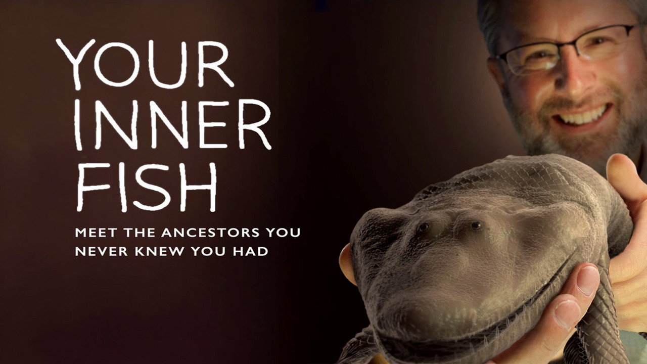 Your Inner Fish (2014) movie backdrop