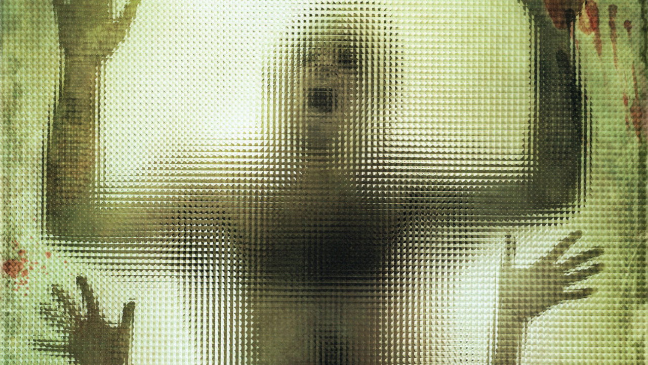 The Human Centipede First Sequence (2009) movie backdrop