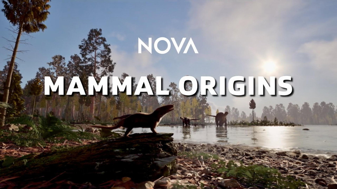 Mammal Origins (2026) movie backdrop