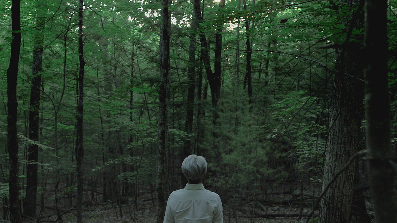 Ryuichi Sakamoto: CODA (2017) movie backdrop