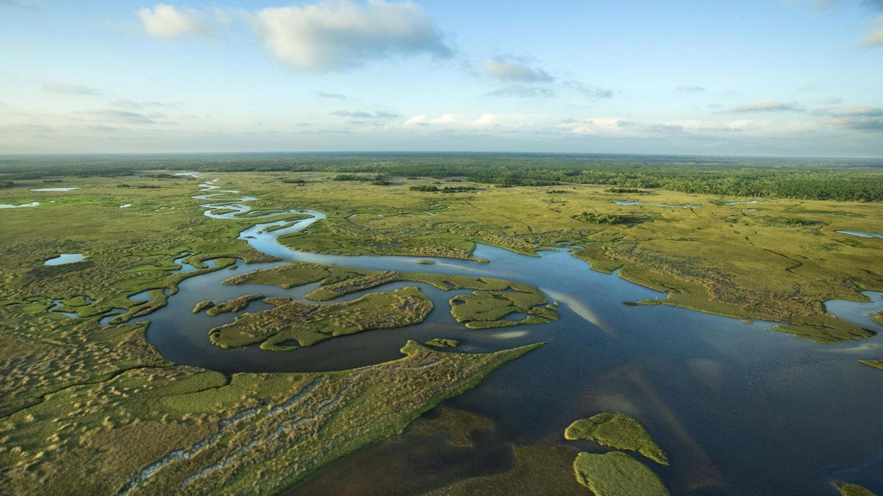 National Parks Exploration Series: The Everglades (2011) movie backdrop