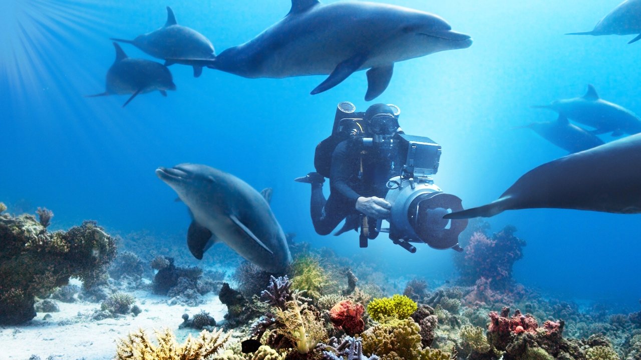 Diving with Dolphins (2020) movie backdrop