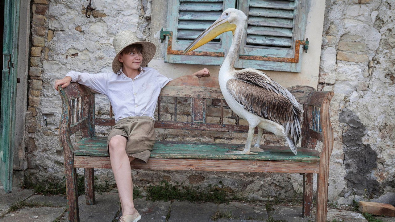 The Durrells (2016) TV show backdrop