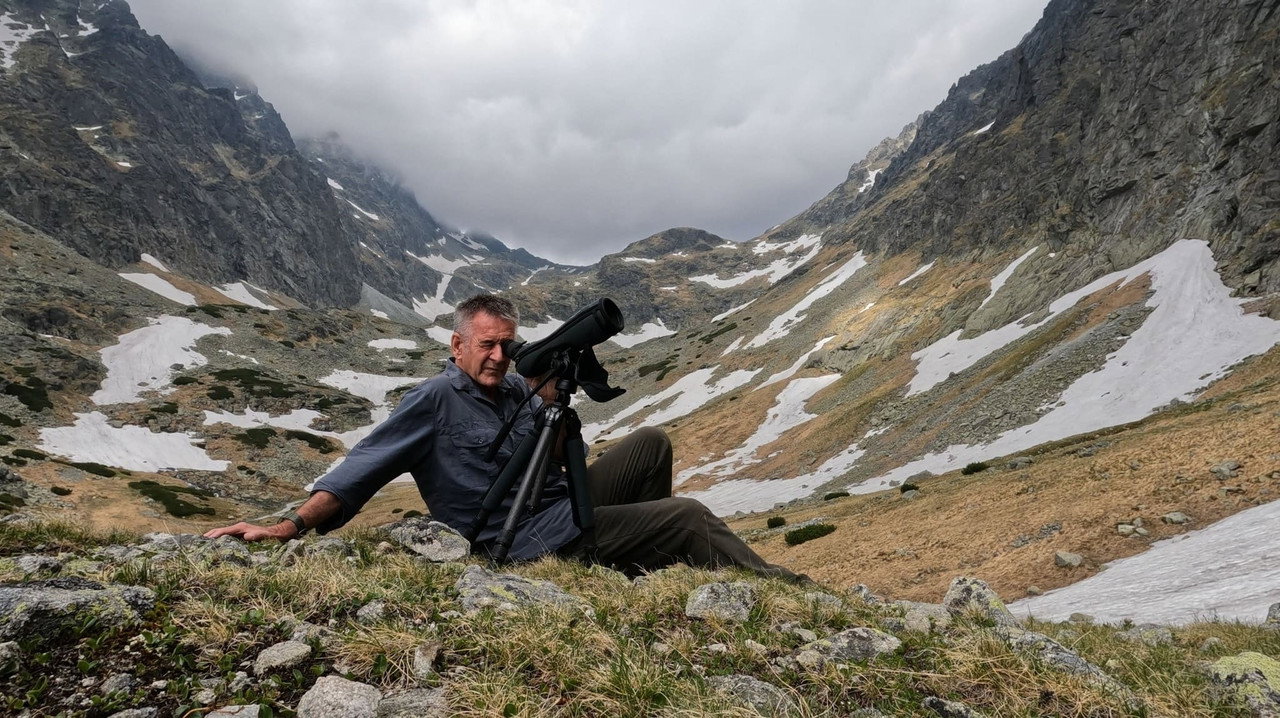 Wild Slovakia with Nigel Marven 2 (2026) movie backdrop