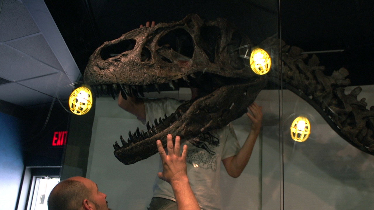 We Believe in Dinosaurs (2020) movie backdrop