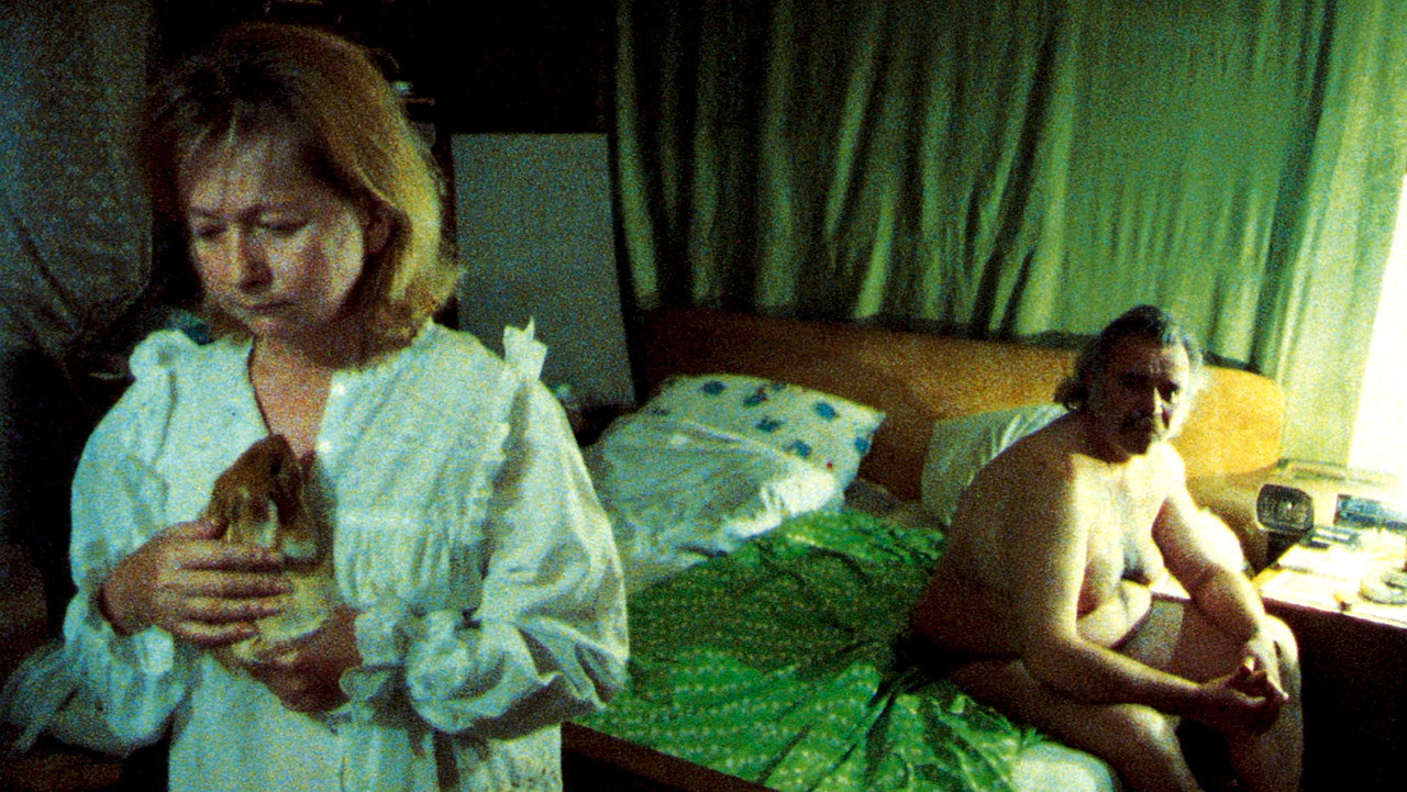 Animal Love (1996) movie backdrop