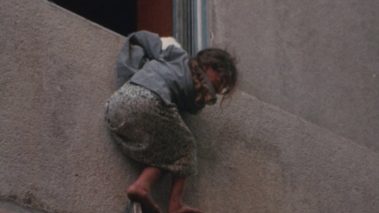 Beirut, Never Again (1976) movie backdrop