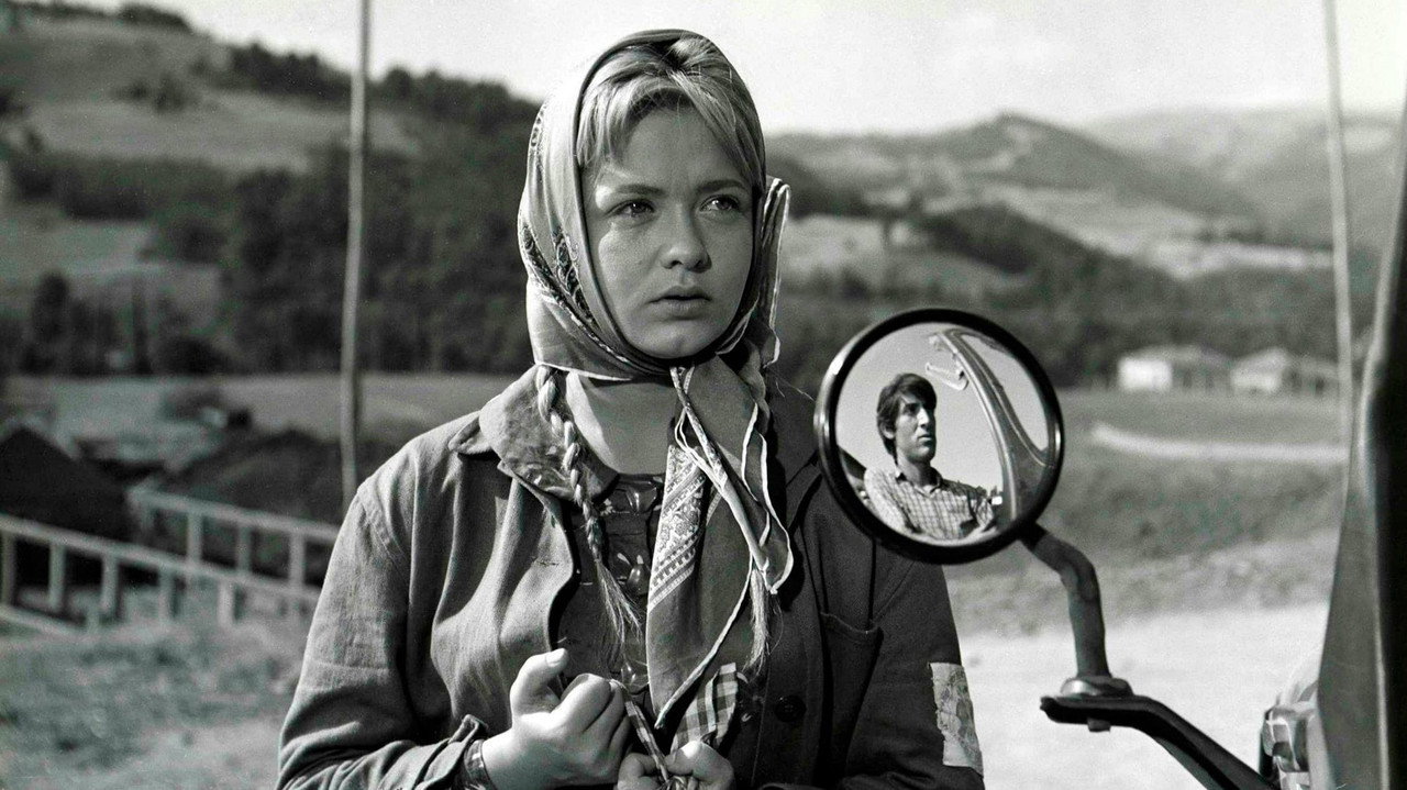 Superfluous (1962) movie backdrop
