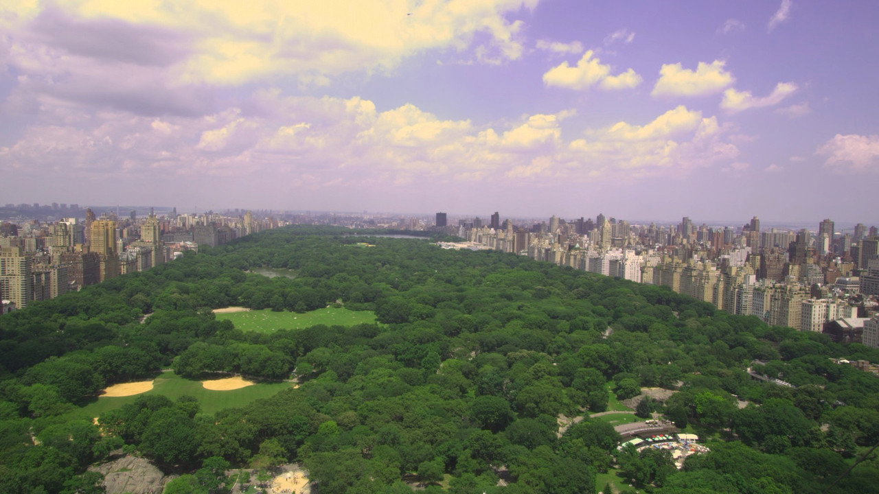 Olmsted and America's Urban Parks (2011) movie backdrop