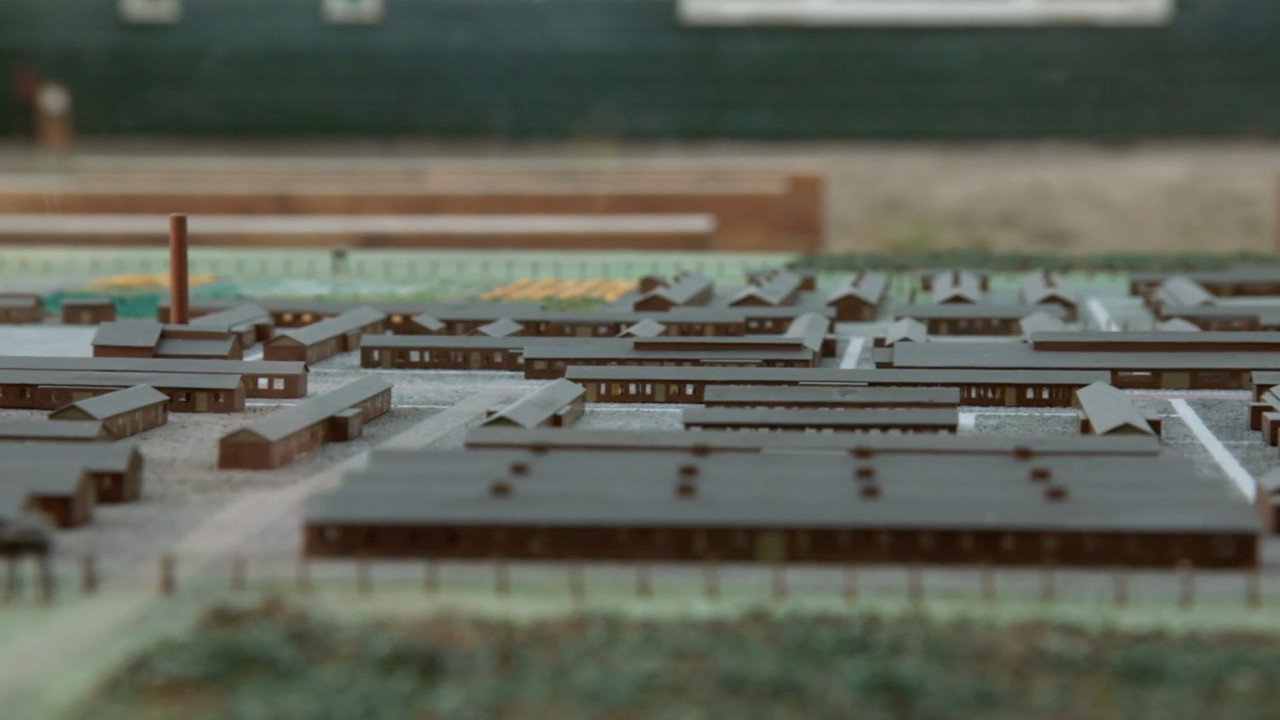 Oorlog in Westerbork (2022) movie backdrop