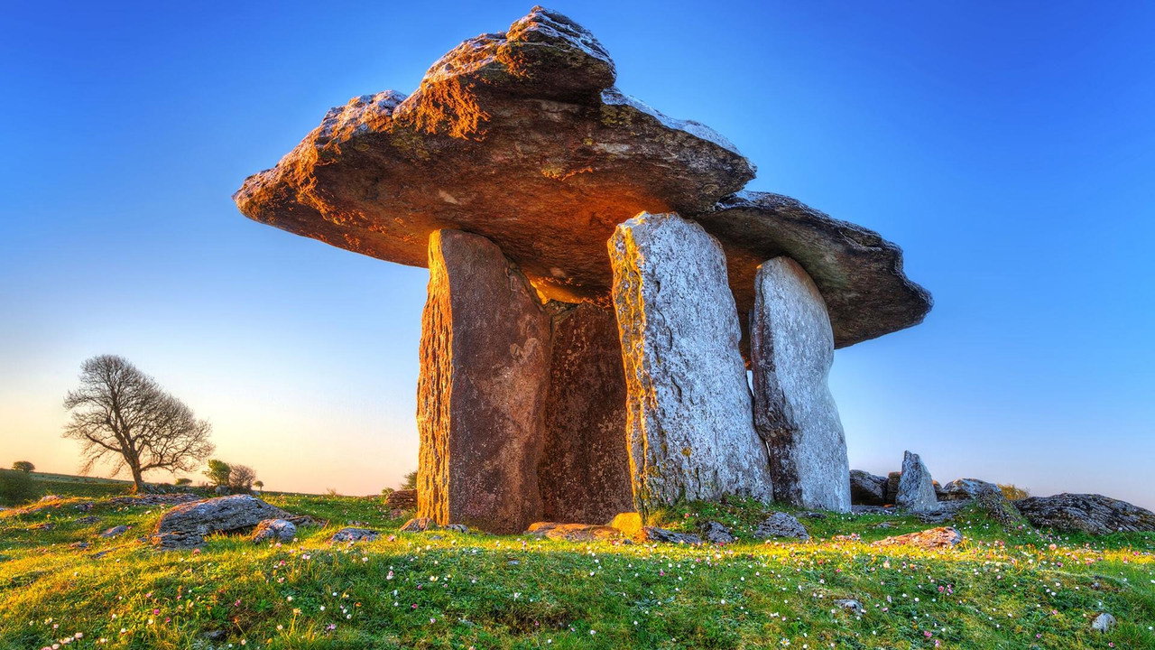Wild Ireland: Kingdom of Stone (2024) movie backdrop