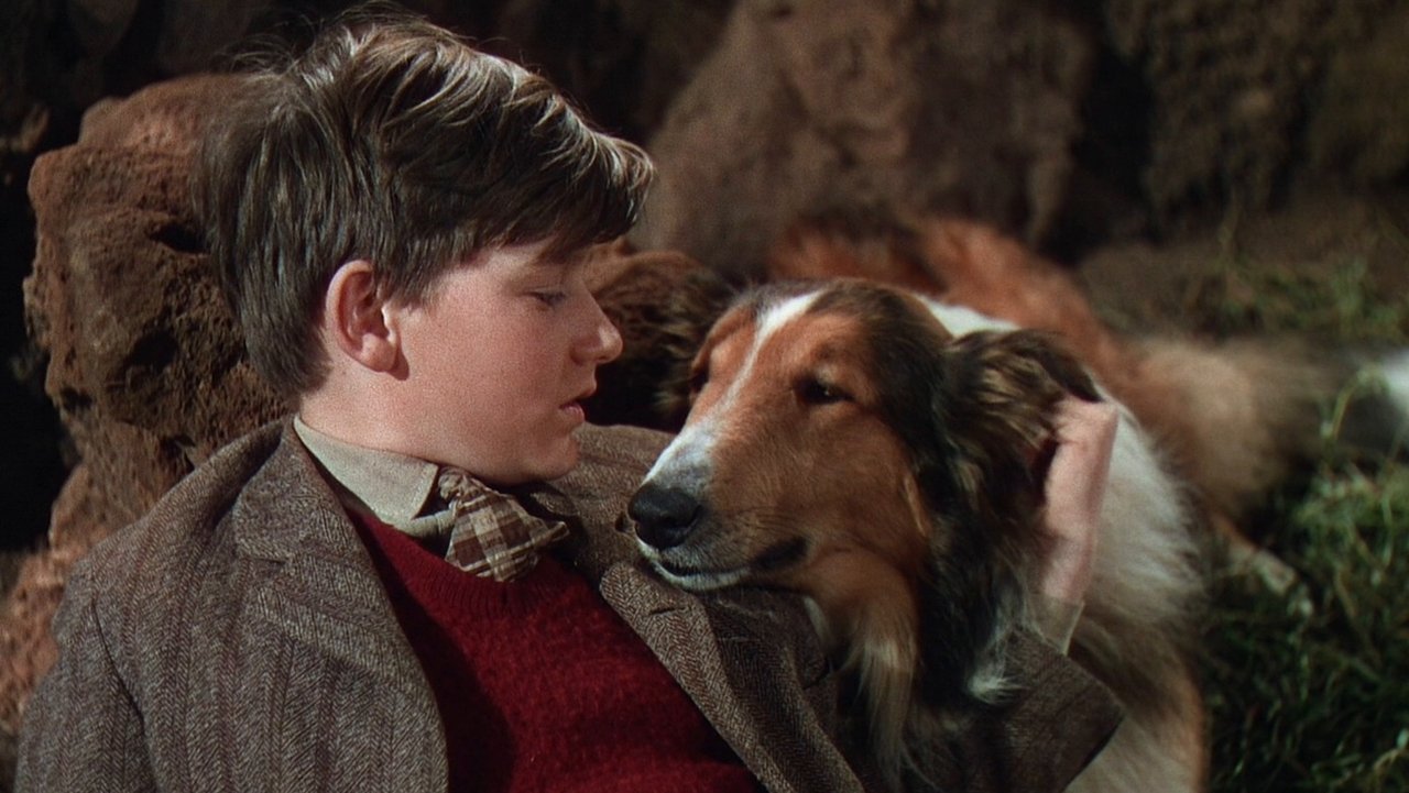Lassie Come Home (1943) movie backdrop