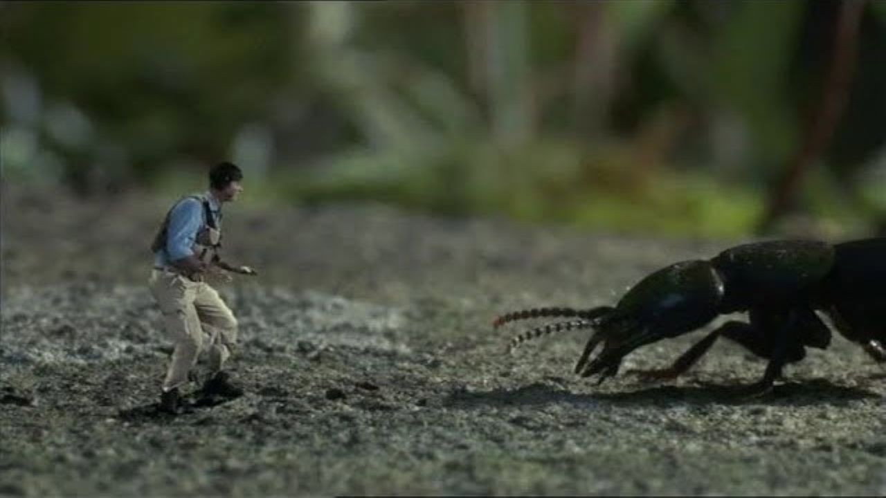 Help! I'm No Bigger Than a Bug (2008) movie backdrop