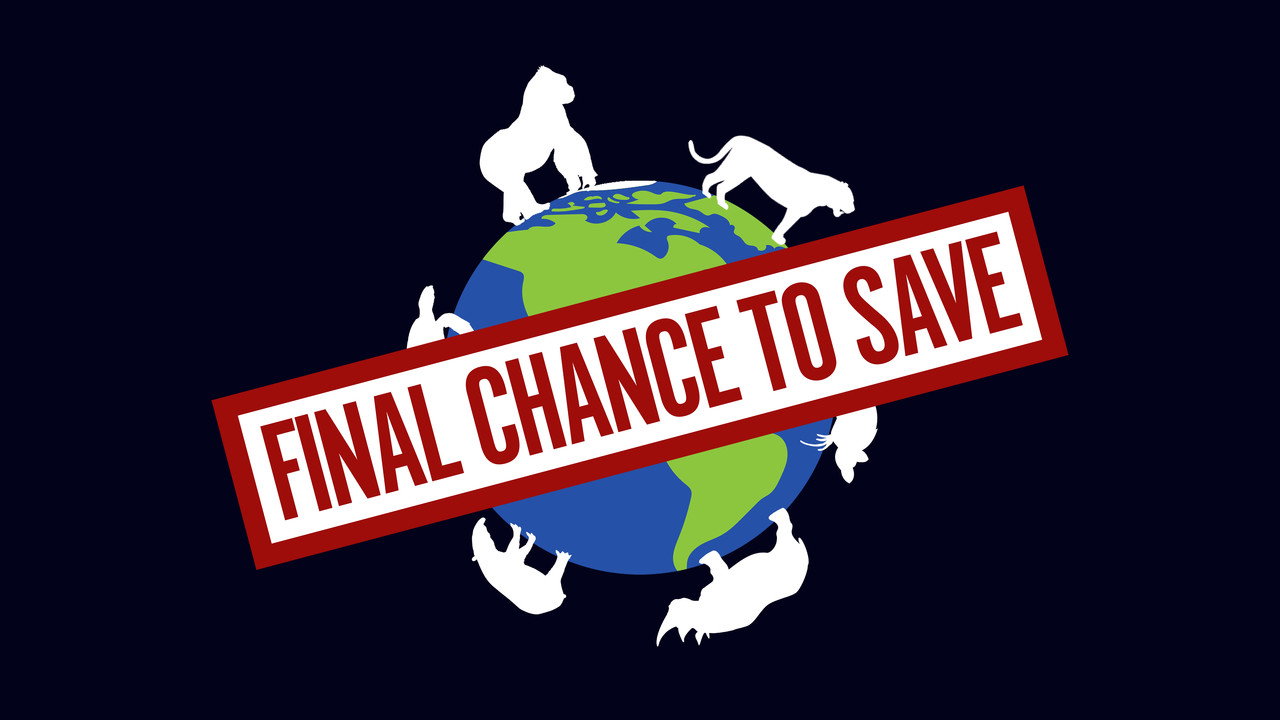 Final Chance to Save (2005) TV show backdrop
