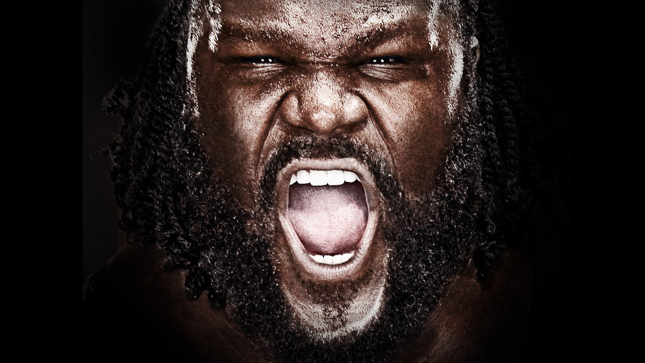 WWE Vengeance 2011 (2011) movie backdrop