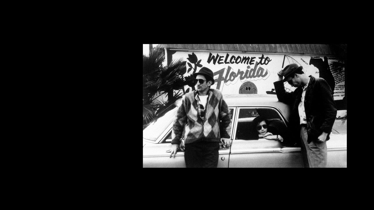 Stranger Than Paradise (1984) movie backdrop