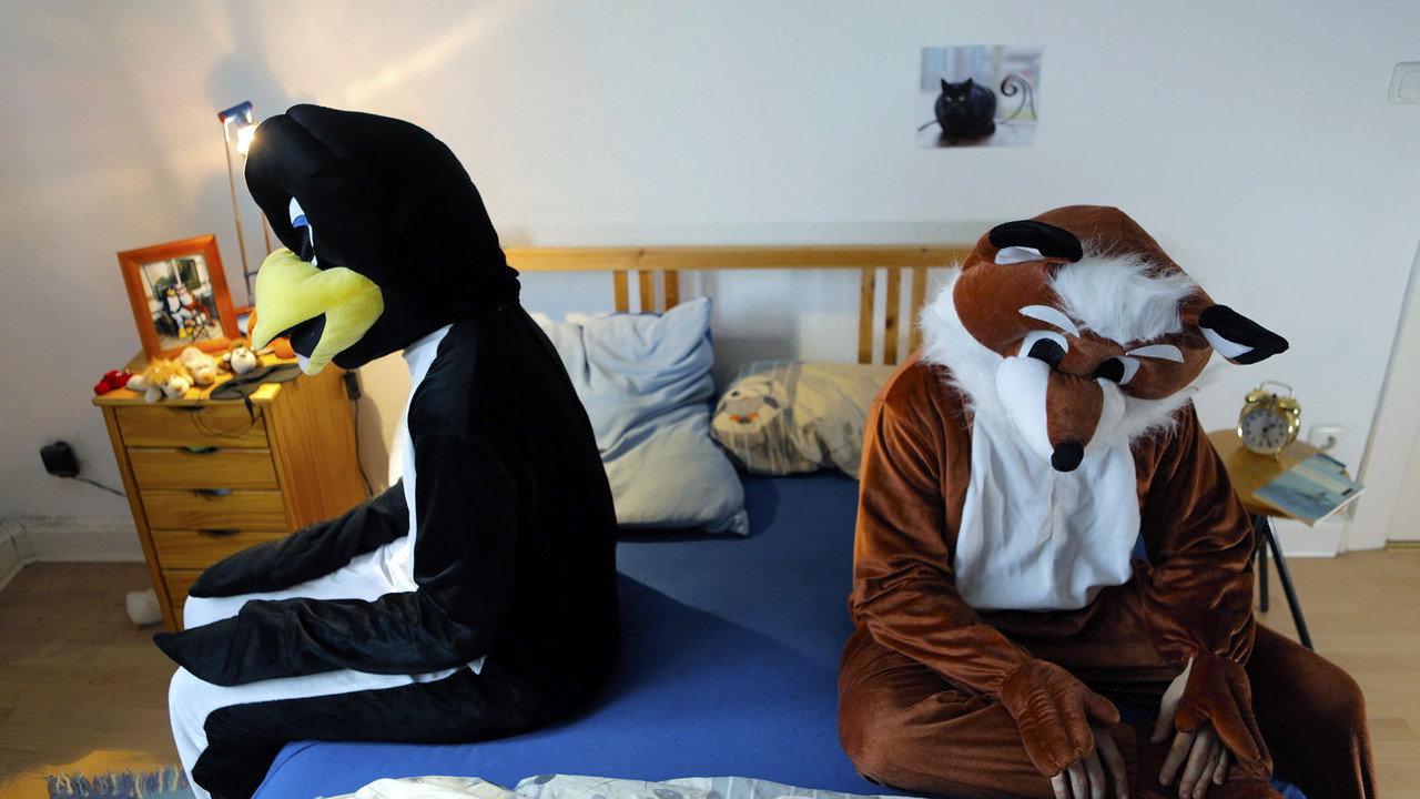 Fox & Penguin (2021) movie backdrop