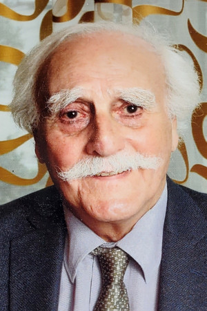 Howard Ryshpan in Pinocchio 3000