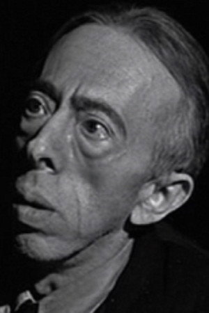 David Hoffman in 13 Ghosts