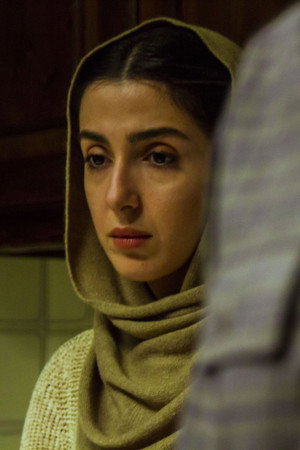 Negin Tahamtan in The Return