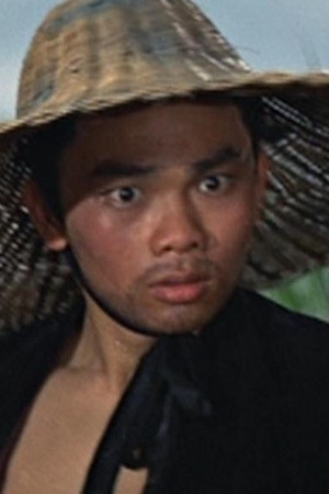 Liu Gang in Golden Swallow