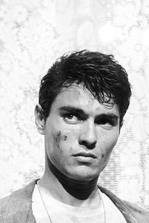 Max Cartier in Rocco and His Brothers