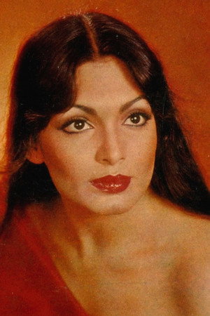 Parveen Babi in Namak Halaal