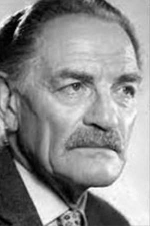 Hans Pössenbacher in Shock Troop