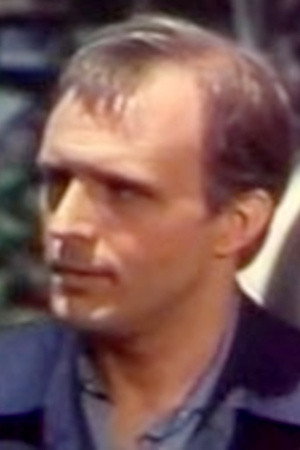Douglas Wood in Misty