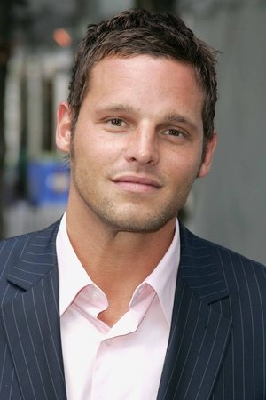 Justin Chambers in The Musketeer