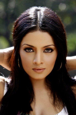 Celina Jaitly in Golmaal Returns